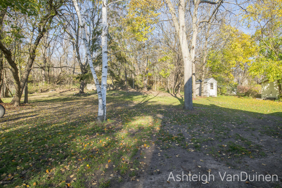 803 Avery St, Lowell, MI 49331 photo 19