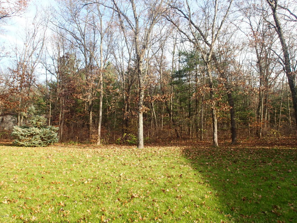 1675 E 80th St, Newaygo, MI 49337 photo 6