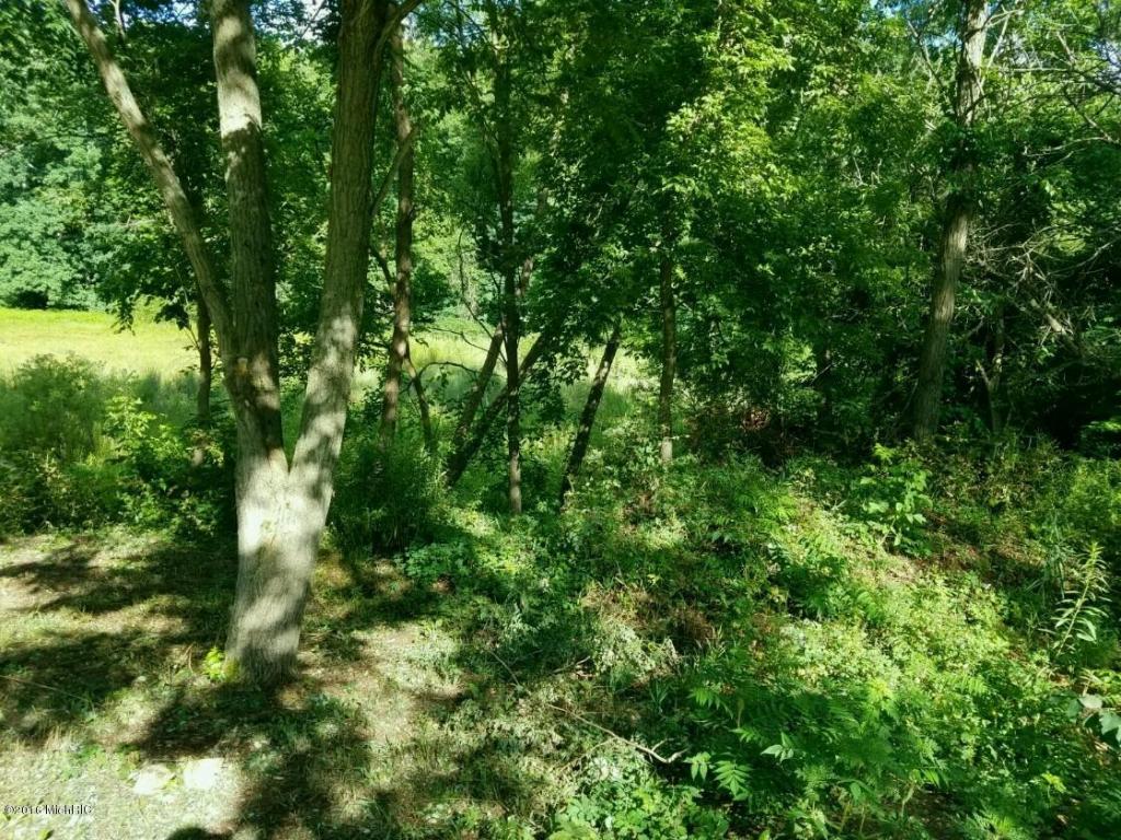 5920 N 39th N, Augusta, MI 49012 photo 11
