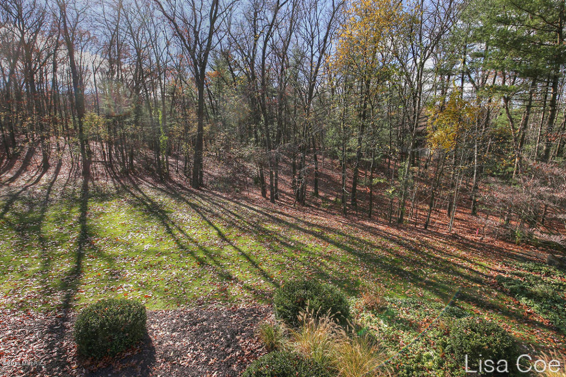 8500 Bailey Dr NE, Ada, MI 49301 photo 11