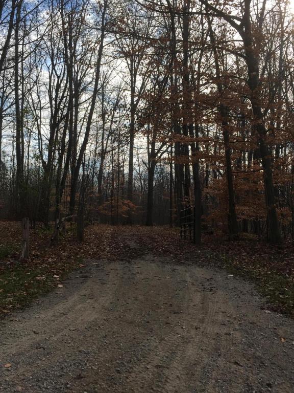 207 Martin Dr, Stanton, MI 48888 photo 2