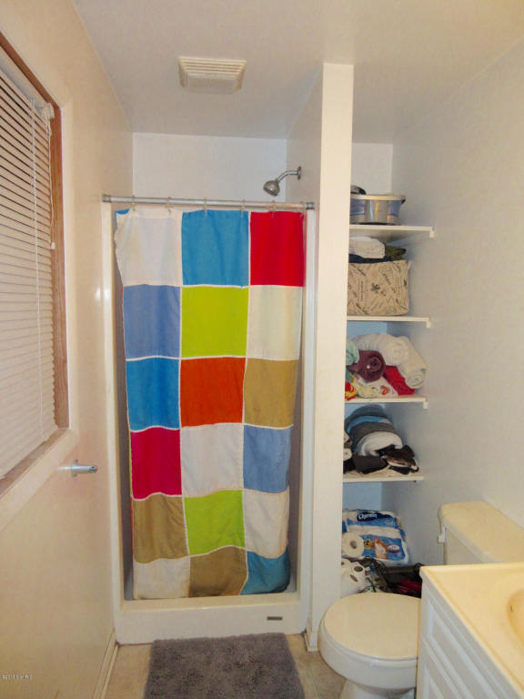 1015 Half Ct, Stanton, MI 48888 photo 10