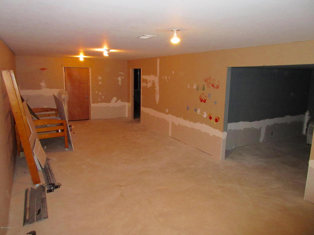 1015 Half Ct, Stanton, MI 48888 photo 14