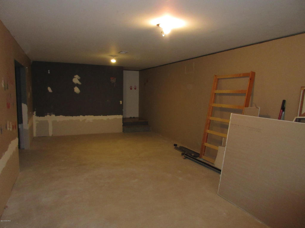 1015 Half Ct, Stanton, MI 48888 photo 15