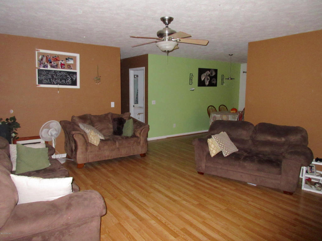 1015 Half Ct, Stanton, MI 48888 photo 3