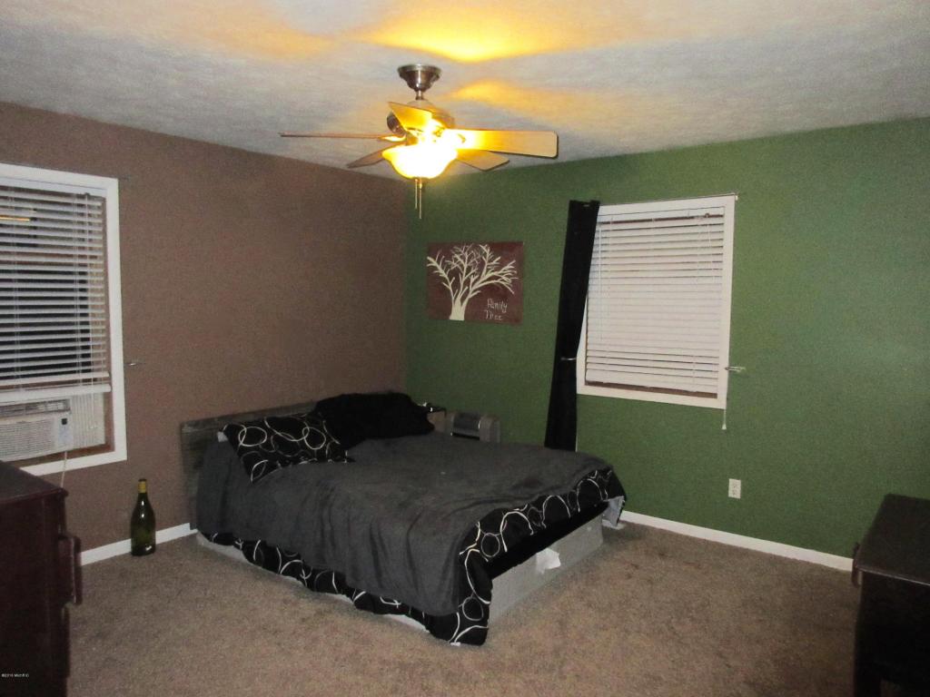 1015 Half Ct, Stanton, MI 48888 photo 9