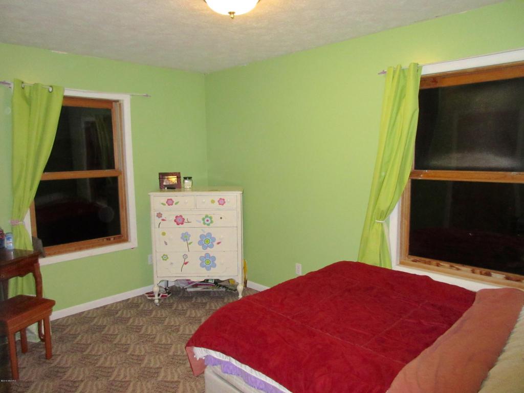 1015 Half Ct, Stanton, MI 48888 photo 11