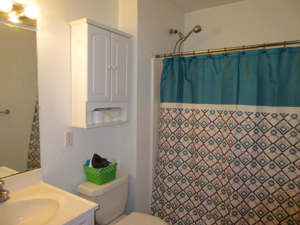 1015 Half Ct, Stanton, MI 48888 photo 13