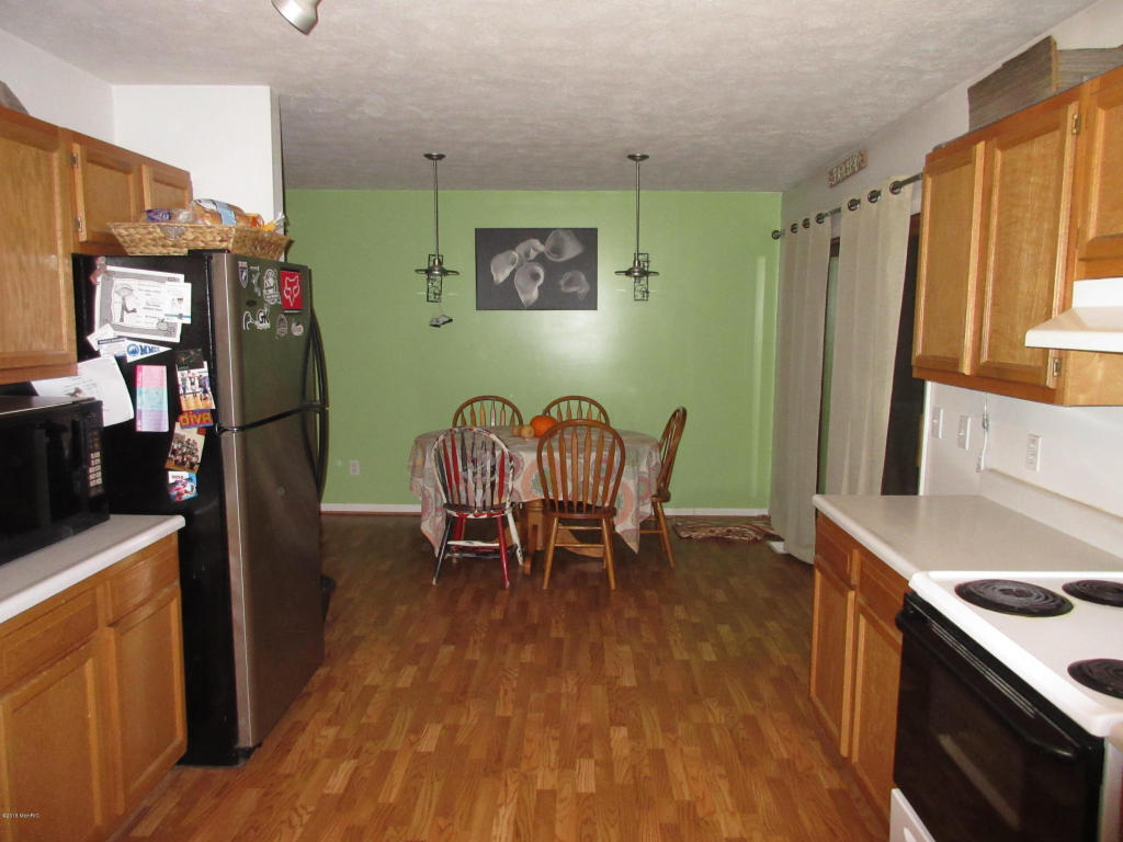 1015 Half Ct, Stanton, MI 48888 photo 8
