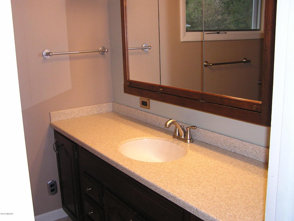 384 Mill, Saranac, MI 48881 photo 5