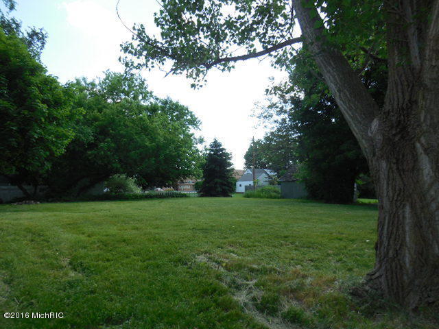 17691 Bailey Rd, Bailey, MI 49303 photo 6