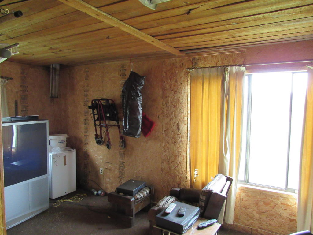 9386 S Brown Rd, Fenwick, MI 48834 photo 107