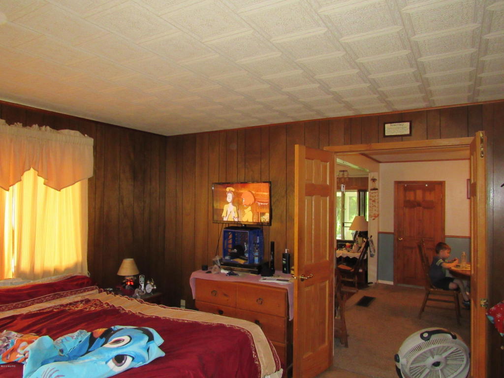 9386 S Brown Rd, Fenwick, MI 48834 photo 80