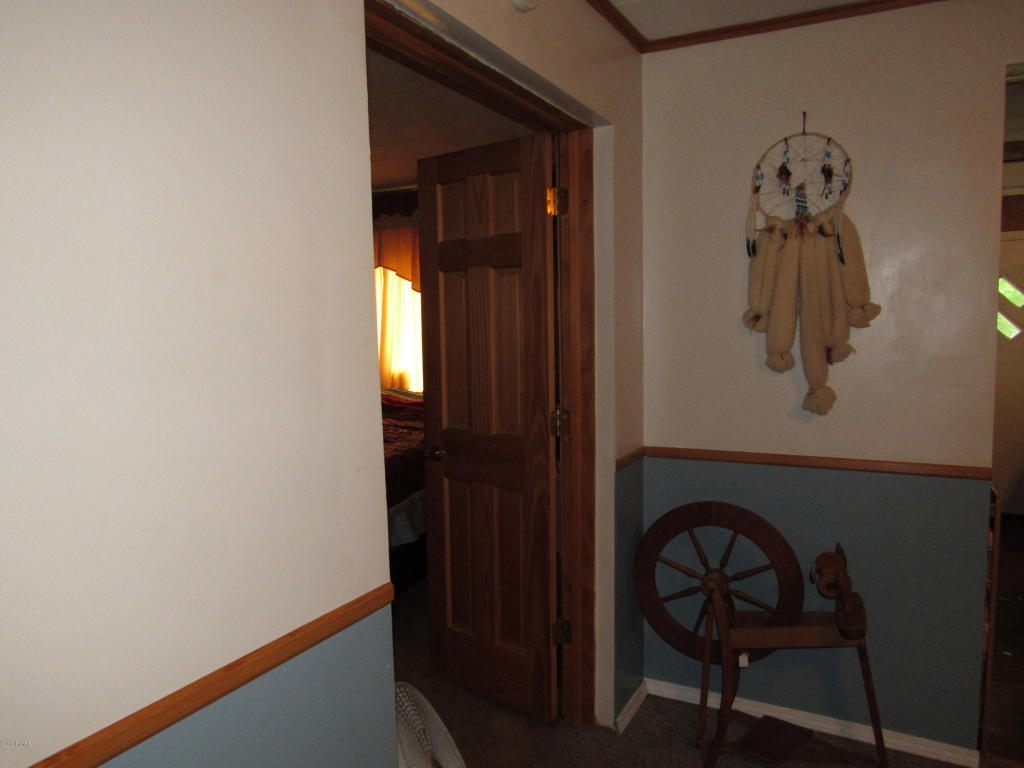 9386 S Brown Rd, Fenwick, MI 48834 photo 81