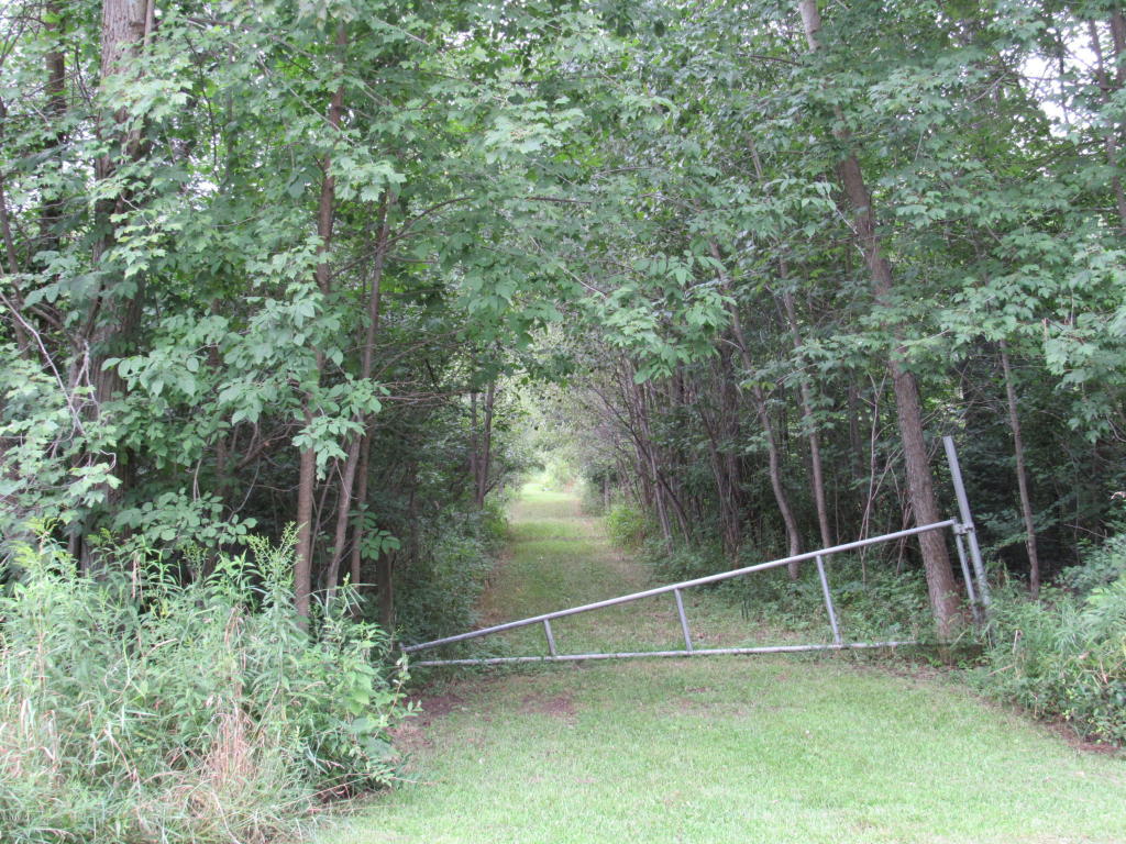 9386 S Brown Rd, Fenwick, MI 48834 photo 20