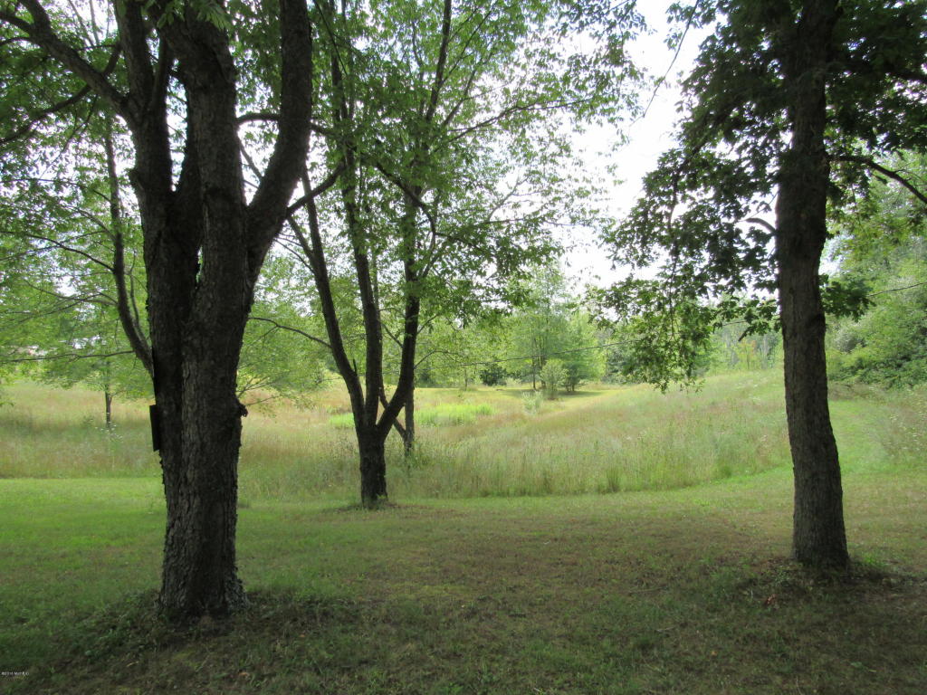 9386 S Brown Rd, Fenwick, MI 48834 photo 131