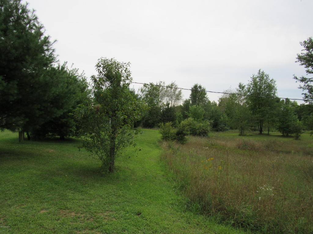 9386 S Brown Rd, Fenwick, MI 48834 photo 16