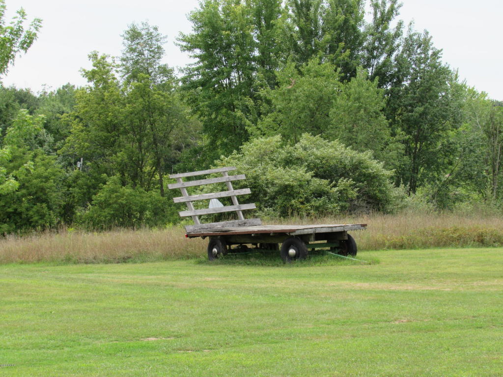 9386 S Brown Rd, Fenwick, MI 48834 photo 46