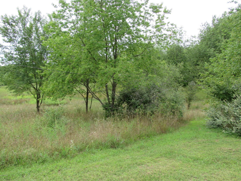 9386 S Brown Rd, Fenwick, MI 48834 photo 13