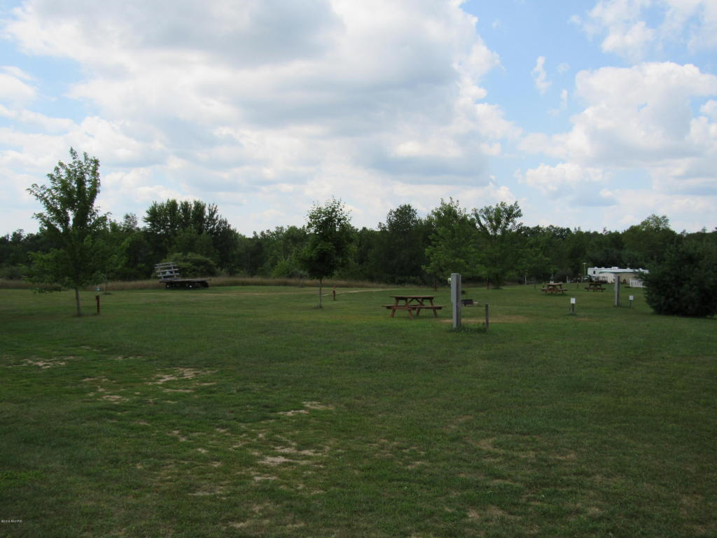 9386 S Brown Rd, Fenwick, MI 48834 photo 110