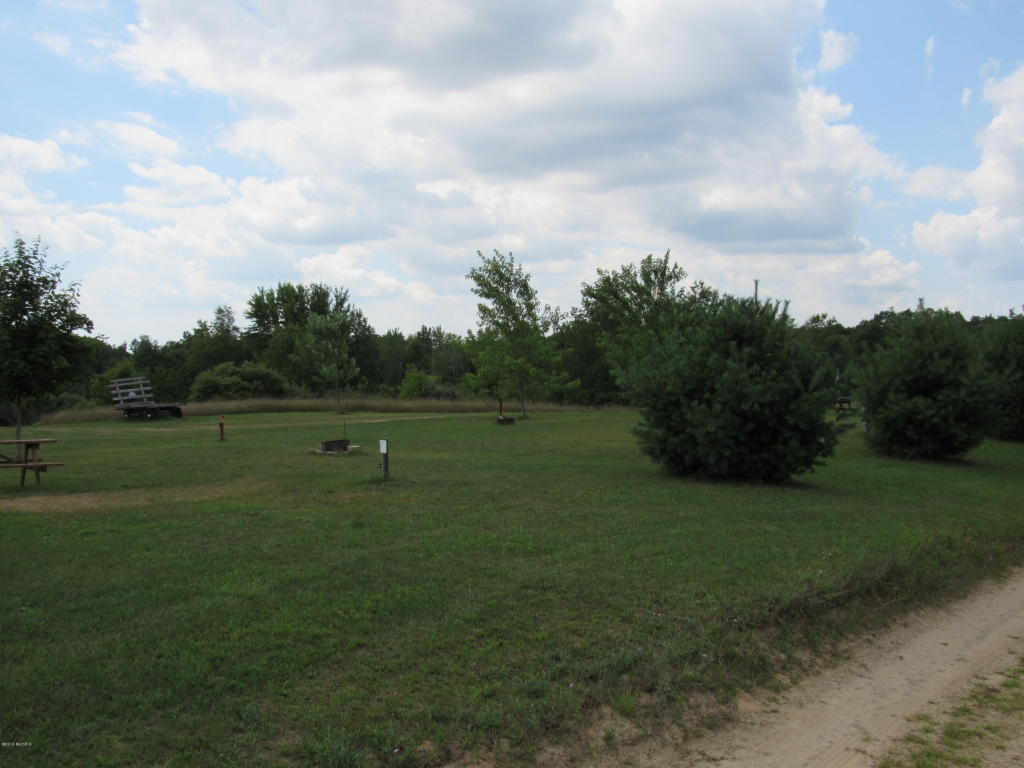 9386 S Brown Rd, Fenwick, MI 48834 photo 108