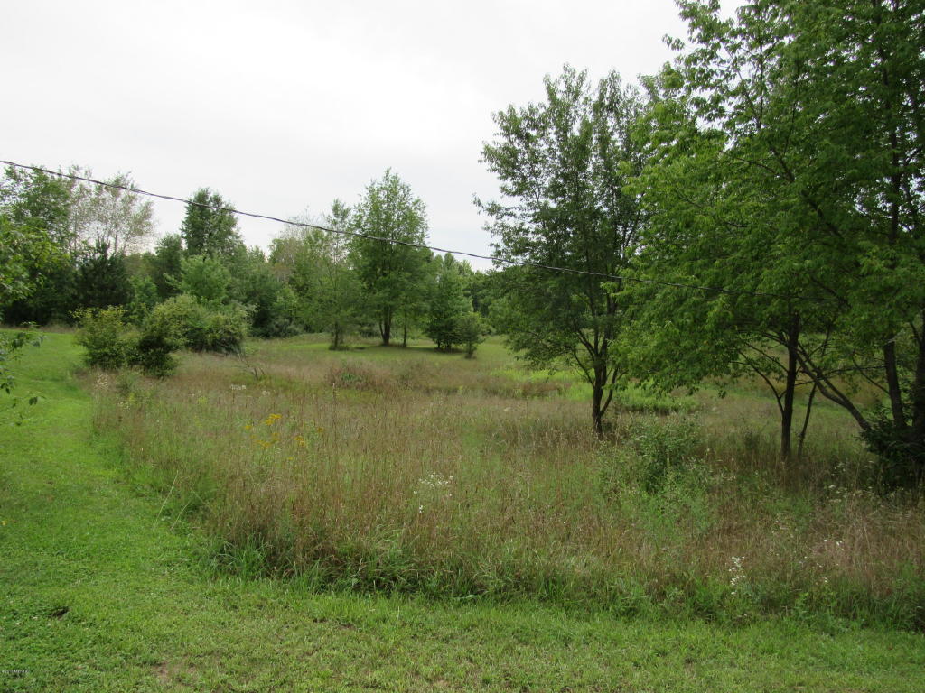 9386 S Brown Rd, Fenwick, MI 48834 photo 12