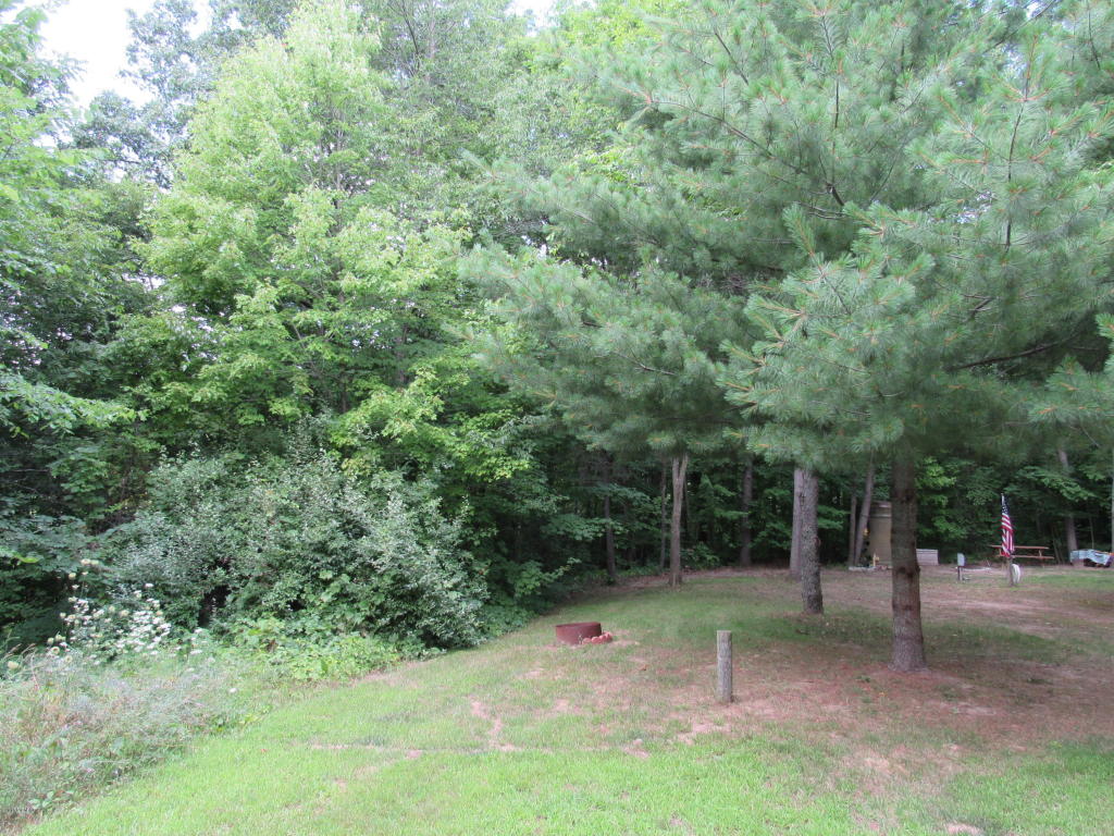 9386 S Brown Rd, Fenwick, MI 48834 photo 116