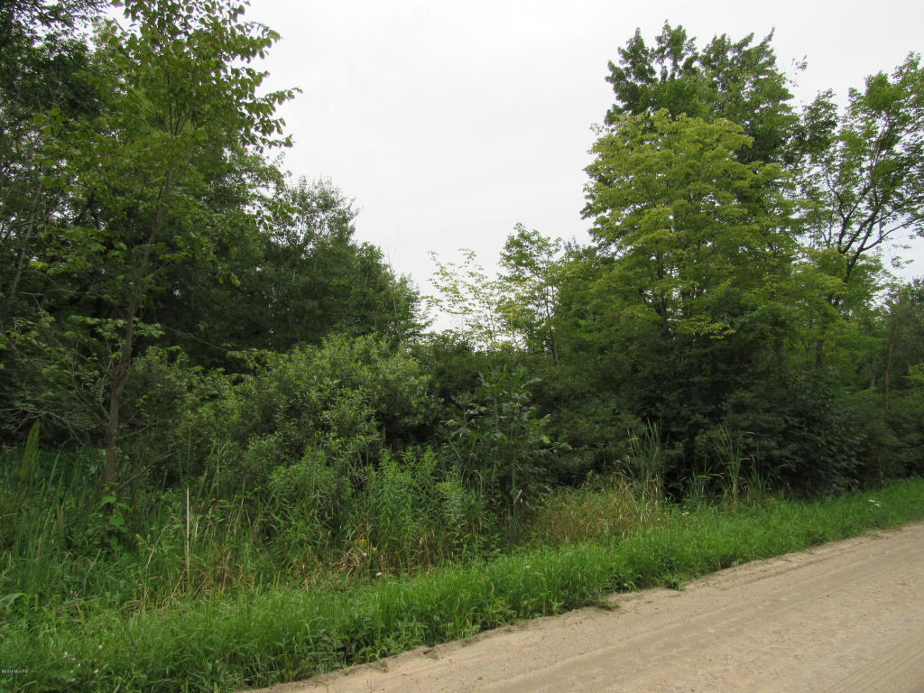 9386 S Brown Rd, Fenwick, MI 48834 photo 10