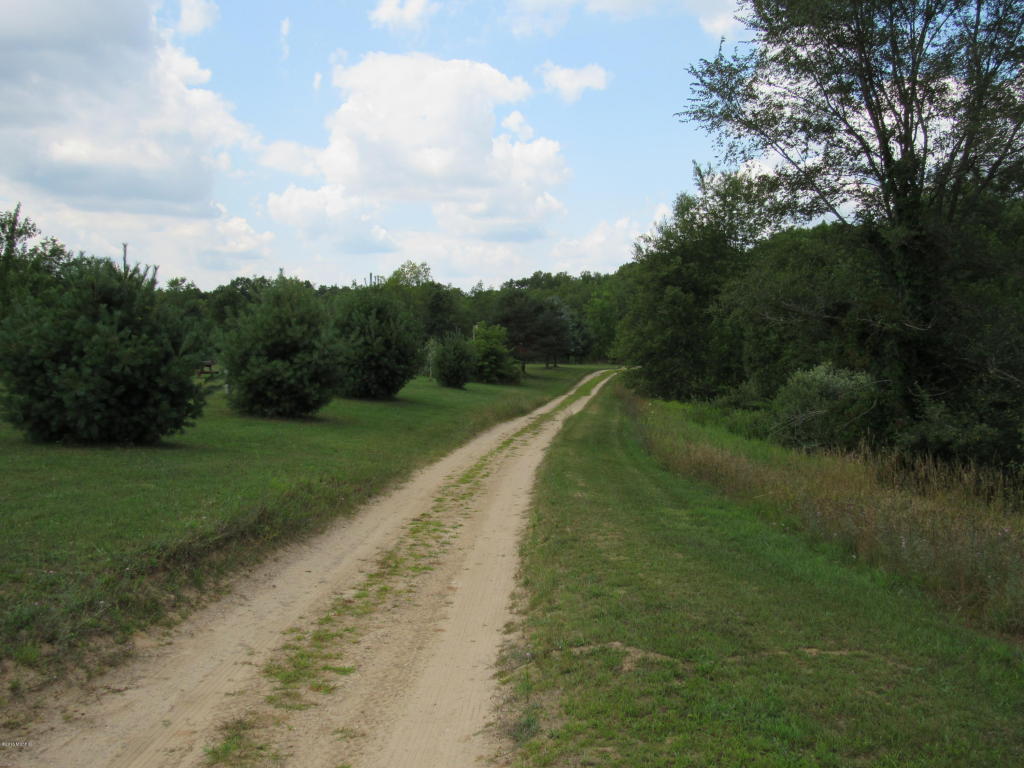 9386 S Brown Rd, Fenwick, MI 48834 photo 109