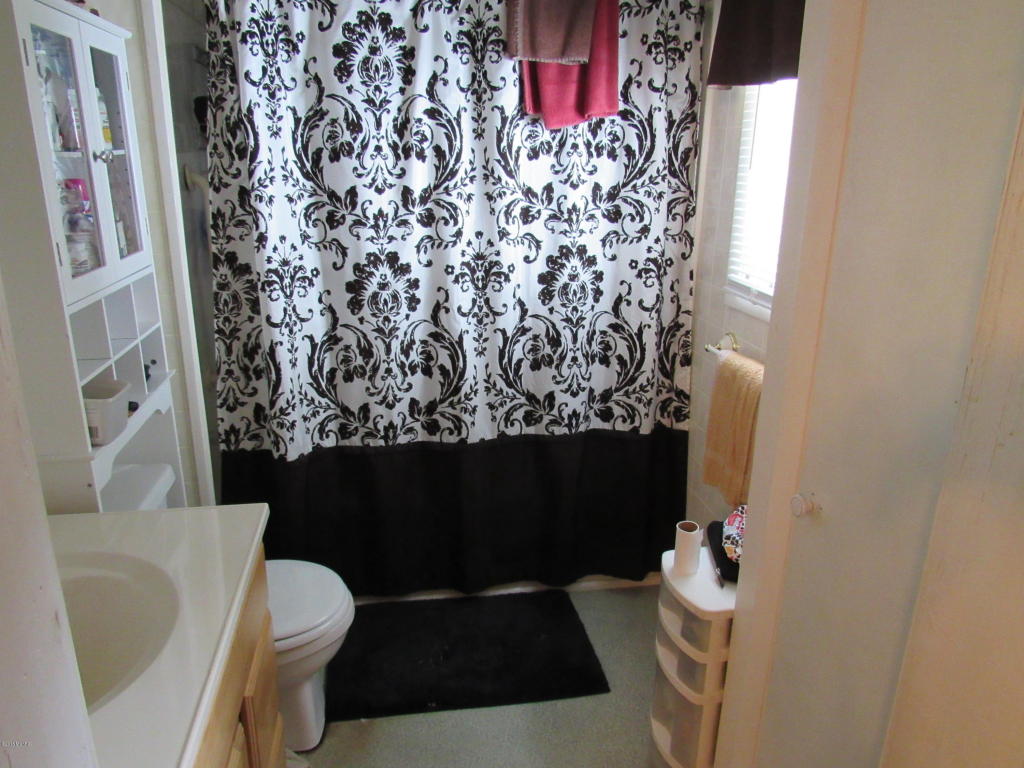 9386 S Brown Rd, Fenwick, MI 48834 photo 93