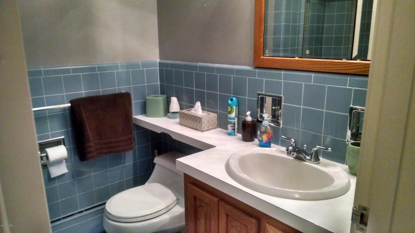 223 W North St, Ithaca, MI 48847 photo 13