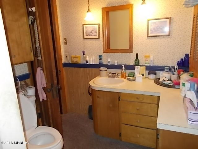 34 E Pine St, Fremont, MI 49412 photo 35