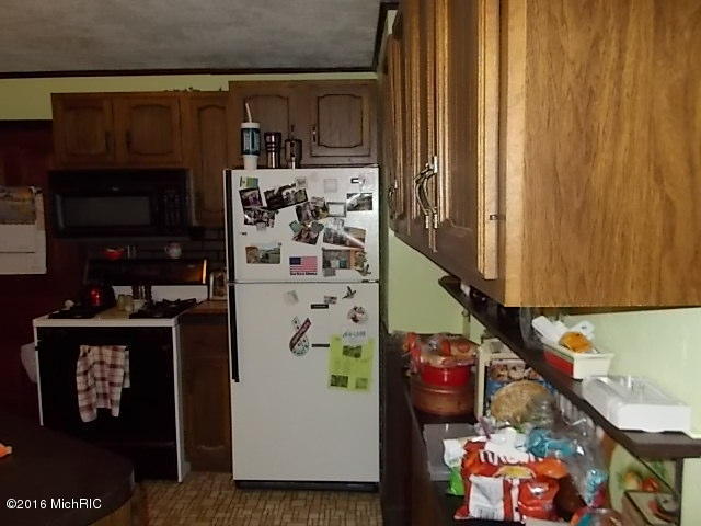 34 E Pine St, Fremont, MI 49412 photo 28