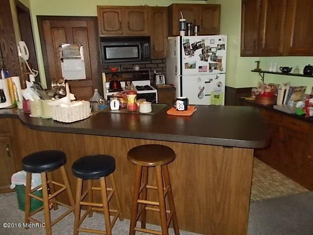 34 E Pine St, Fremont, MI 49412 photo 31