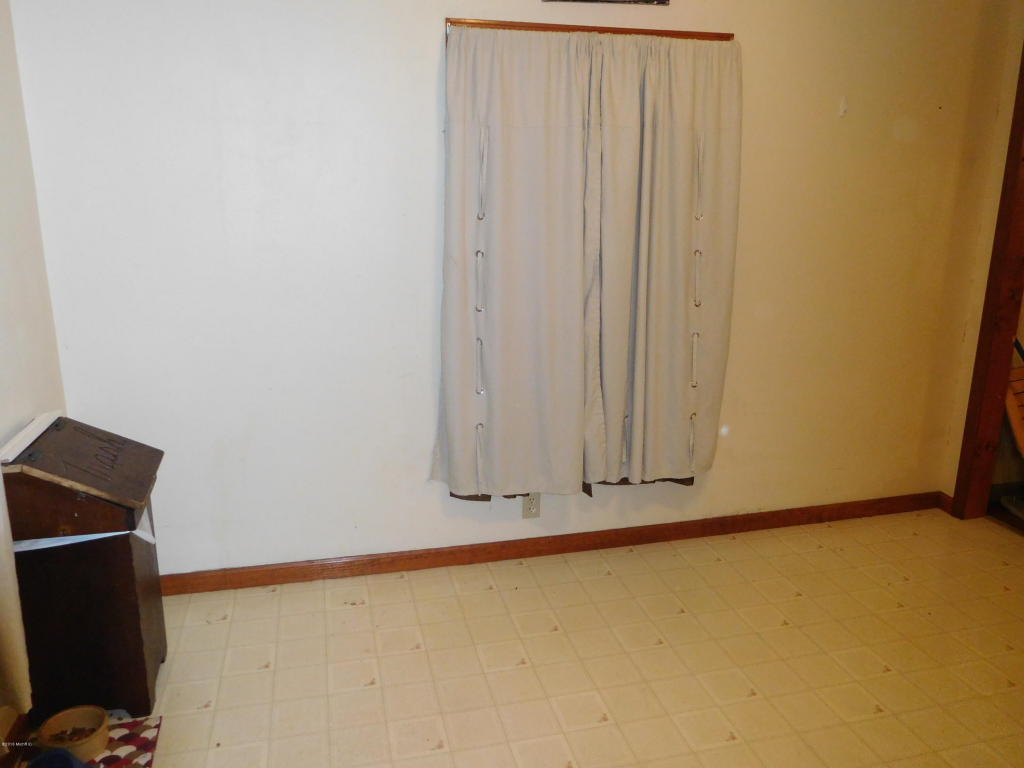 358 E Corey St, Bronson, MI 49028 photo 8