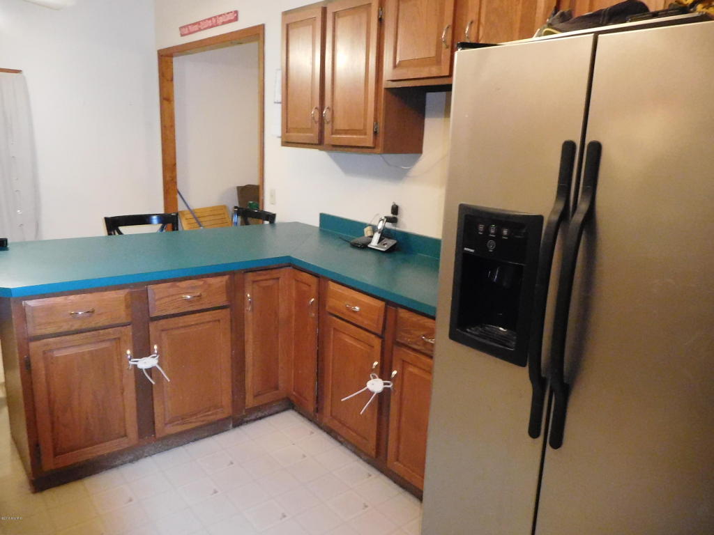 358 E Corey St, Bronson, MI 49028 photo 3