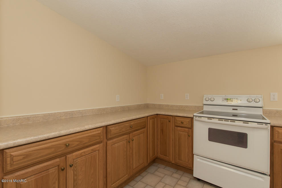 314 Locust, Marshall, MI 49068 photo 16