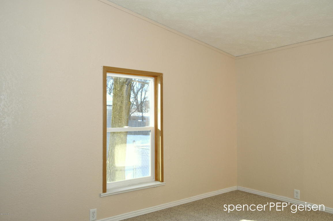 823 York St, Belding, MI 48809 photo 12