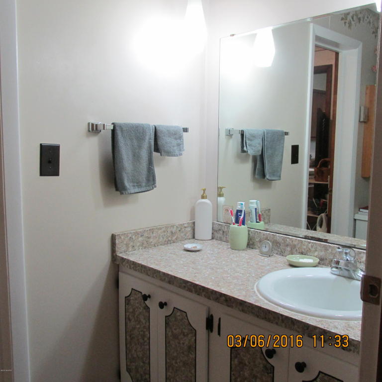 535 E Southern Rd, Coldwater, MI 49036 photo 7