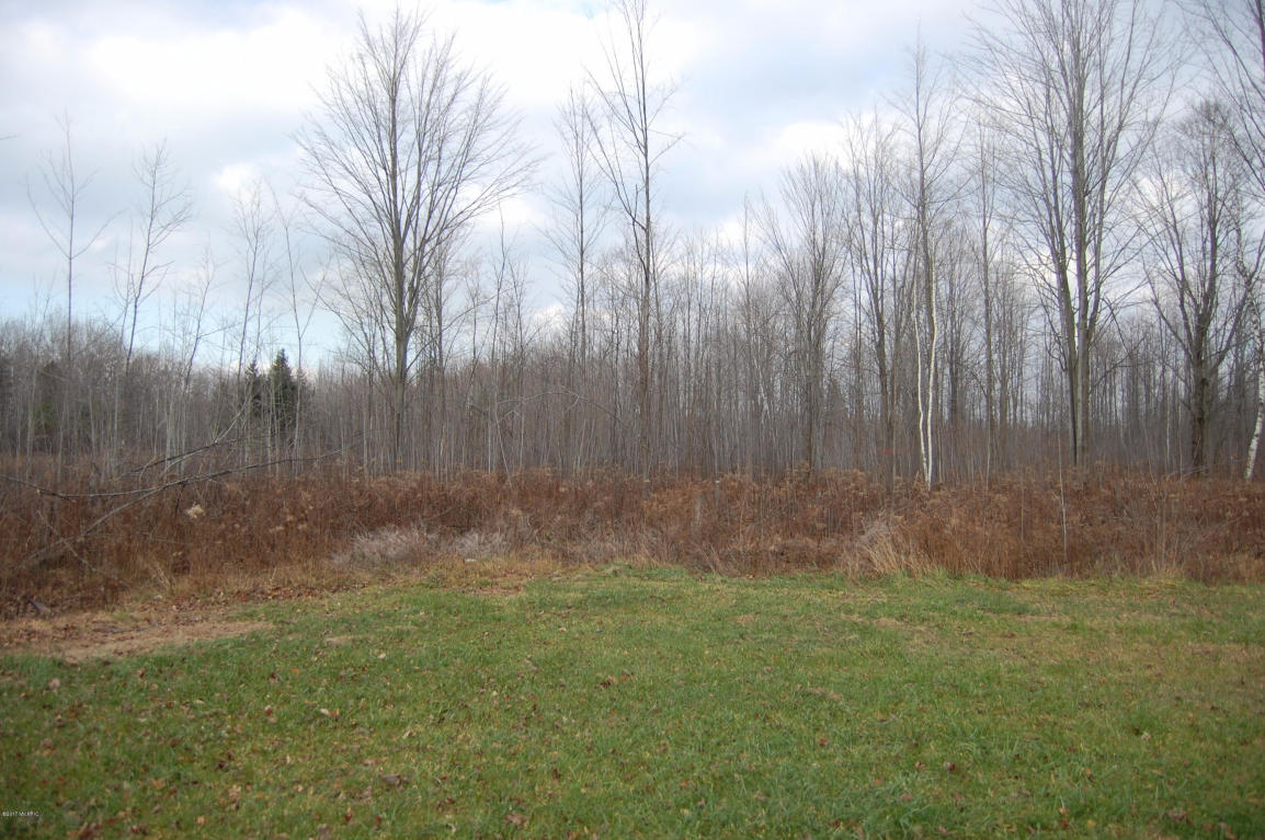 615 S Hawkins, Gladwin, MI 48624 photo 29
