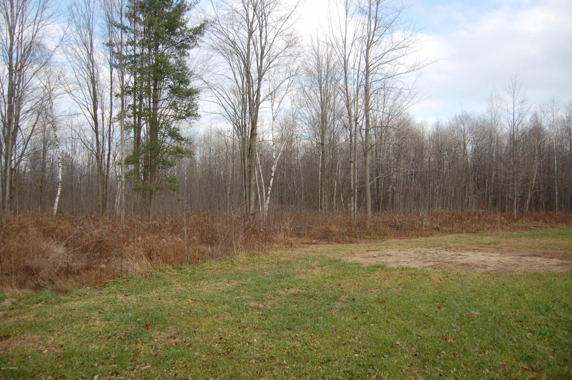 615 S Hawkins, Gladwin, MI 48624 photo 31