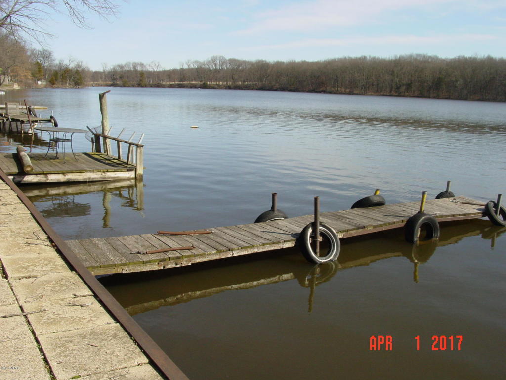 23451 River Run Rd, Mendon, MI 49072 photo 10