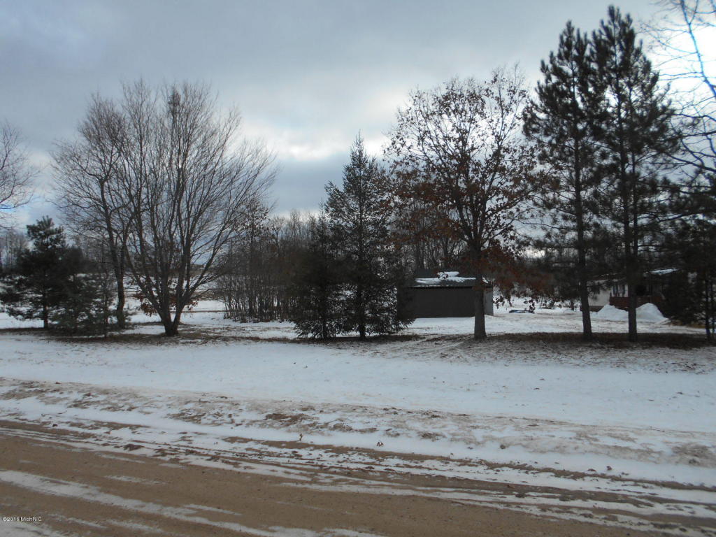 3563 E Baker Rd, Hesperia, MI 49421 photo 13
