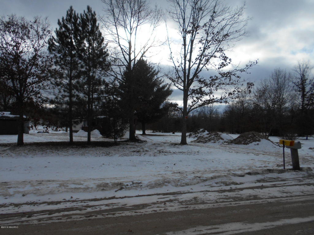 3563 E Baker Rd, Hesperia, MI 49421 photo 8