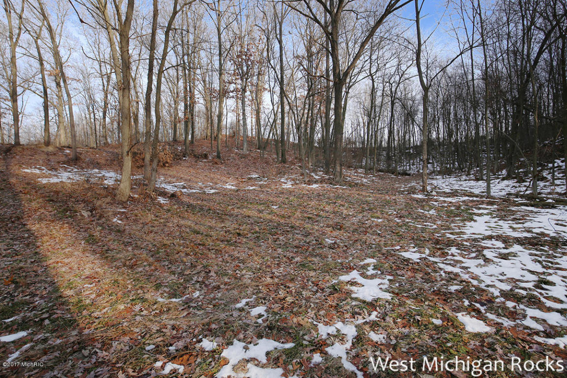 9801 Fulton St E, Ada, MI 49301 photo 26