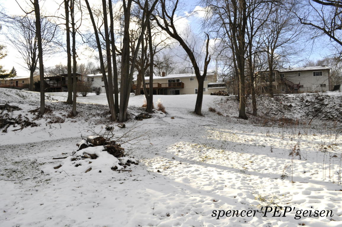 860 Water St, Belding, MI 48809 photo 27