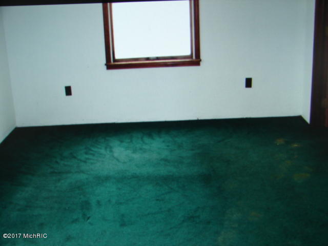242 E Catherine St, Bellevue, MI 49021 photo 9