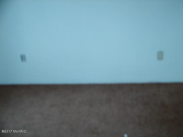 242 E Catherine St, Bellevue, MI 49021 photo 8
