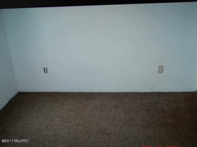 242 E Catherine St, Bellevue, MI 49021 photo 11