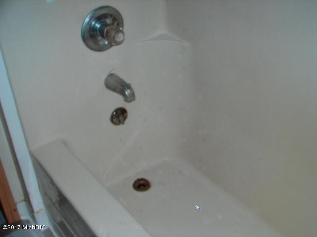 242 E Catherine St, Bellevue, MI 49021 photo 7